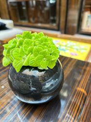 -南京圣和府邸豪华精选酒店-宴会厅婚宴·生日宴·宝宝宴