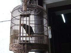 CIMG5838-留荫庐旅馆