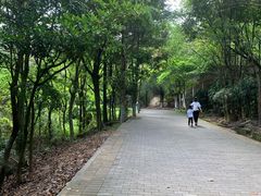 -滴水岩森林公园