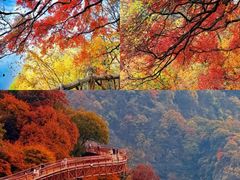 -少华山国家森林公园