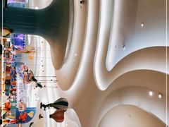 -帝企鹅自助餐厅•儿童岛•真企鹅(长隆企鹅酒店)