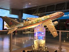 -约翰·菲茨杰拉德·肯尼迪国际机场