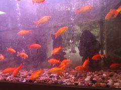 -小郡肝火锅串串香(万达总店)