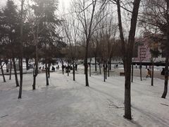-黛秀湖公园