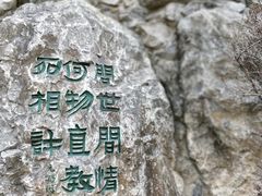 -西安曲江寒窑遗址公园