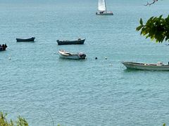-小麦岛公园