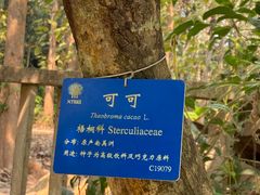 -中国科学院西双版纳热带植物园