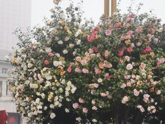 -长沙火车站(地铁站)