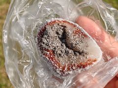 -沈大成(城隍庙店)