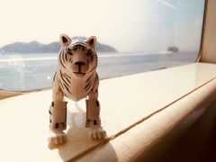 -澳门外港客运码头(轮渡站)