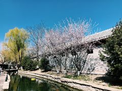 -三里河公园
