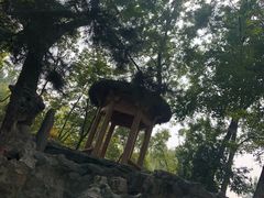 -莲湖公园