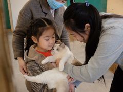 -飞行喵MR PILOT|猫舍·猫咖(静安大融城店)