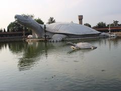 -东方巨龟苑景区