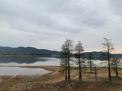 -四明湖