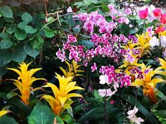 -北京植物园-展览温室