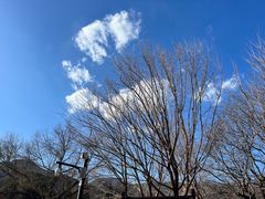 -香山公园