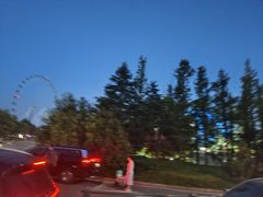 -日照海滨国家森林公园