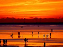 -南汇嘴观海公园