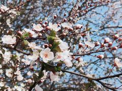 -梁鸿国家湿地公园