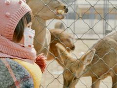 -长白岛森林公园