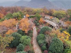 -南京老山国家森林公园