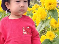 -北陵公园