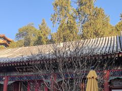 -宫事颐庭·老佛爷贵寿下午茶(颐和园店)