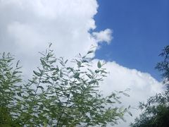 -广州神农草堂中医药博物馆