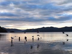 -丽江泸沽湖景区