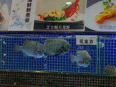 -欢乐海岸美食联盟