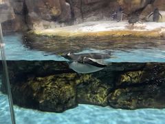 -波塞冬旅游度假区