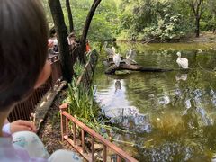 -济南野生动物世界