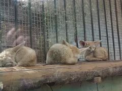 -昆明动物园
