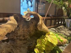 -老阿爸鲜鱼土菜(独墅湖店)