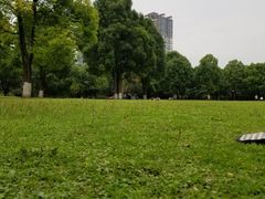 -重庆彩云湖湿地公园