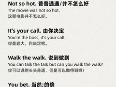 -引领英语·成人口语·雅思托福