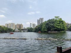 -荔湾湖公园