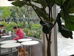 -喜茶(广州番禺奥园广场店)