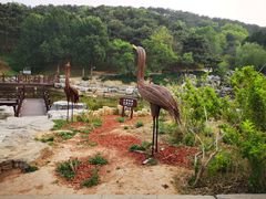 -北京西山国家森林公园