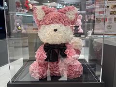 -ROSEONLY诺誓(国际广场购物中心店)