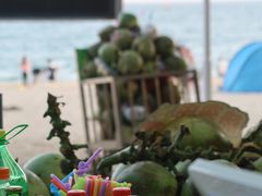-玫瑰海岸文化旅游度假区