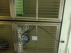 -瑞派宠物医院·24小时骨科·心脏·核磁(哈尔滨南岗店)