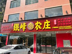 -银峰农庄·特色烧鸡·鲜无花果浸鸡