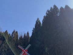 -武陵山森林公园