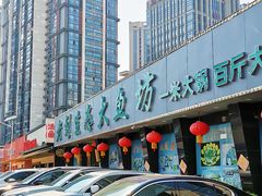 -老刘生态大鱼坊铁锅炖鱼(赛马场店)