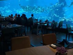 -海棠湾洲际-涛·海底餐厅·美人鱼·自助餐·海底隧道