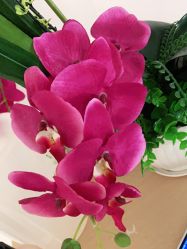 -薇兰专业脱毛连锁机构