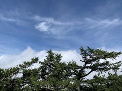 -富士山吉田線五合目