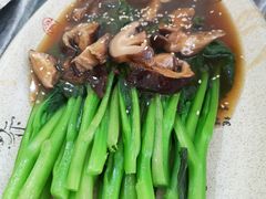 -五台山正觉全素斋